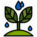 Grow Sprout Plant Icon