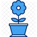 Grow Leaves Plant Icon