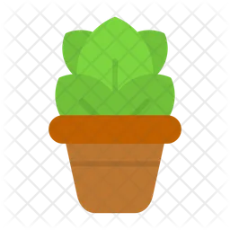 Grow  Icon