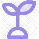 Grow Finance Shady Icon