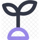 Grow Finance Line Color Icon