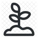 Grow Icon