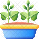 Grow Plant Nature Icon