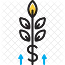 Grow Wealth Germinate Icon