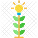 Creative Idea Plant Idea Plant Icon