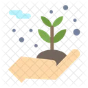 Grow Plant  Icon