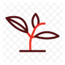 Grow Plant Plant Ecology Icon