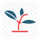 Grow Plant Plant Ecology Icon