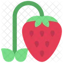 Grow Strawberry Agriculture Icon