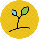 Growing Plant Seedling Icon