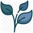 Environment Growing Leaf Icon