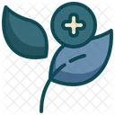 Plant Seedling Growing Icon