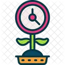 Growing Time Growth Icon