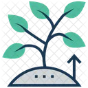 Growing Plant Ecology Icon