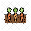 Growing Carrot  Icon