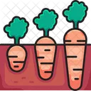 Growing carrot  Icon