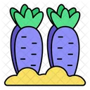 Growing Carrots  Icon