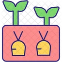 Growing carrots  Icon
