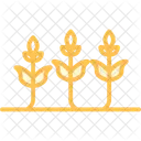 Growing Crops Growing Crops Icon