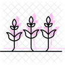 Growing Crops Growing Crops Icon