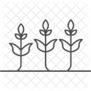 Growing Crops Growing Crops Icon