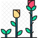Growing flower  Icon