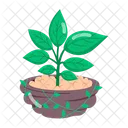 Herb Stickers Herbal Therapy Herbal Remedies Icon