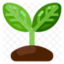 Growing Plant Farm Icon