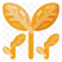 Growing Plant Creative Icon