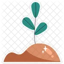 Growing Plant Growth Icon