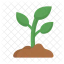 Grow Growing Growth Icon