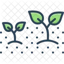 Growing Plant Soil Icon