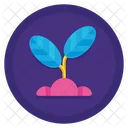 Growing Income Growth Dollar Icon