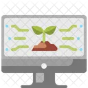 Data Digital Growing Icon