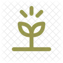 Growing Sprouting Seeds Icon