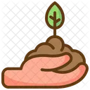 Growing Plant Sprout Icon