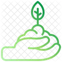 Growing  Icon