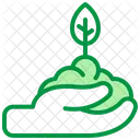 Growing  Icon