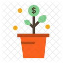 Growing  Icon
