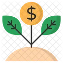 Growing Plant Growth Icon