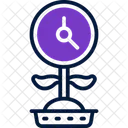 Growing Time Growth Icon