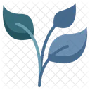 Environment Growing Leaf Icon