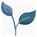 Environment Growing Sprout Icon
