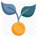 Growing Plant Leaf Icon
