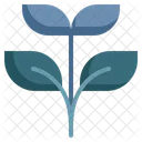 Growing Sprout Seedling Icon