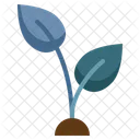 Growing Tree Seedling Icon