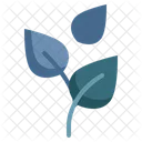 Nature Leaf Tree Icon