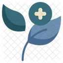 Plant Seedling Growing Icon