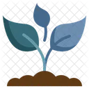 Plant Tree Leaf Icon