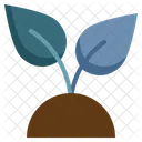 Seedling Growing Plant Icon